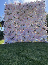 IMG 3368 1768718921 5D flower wall wedding rental