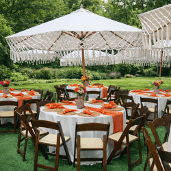 fruitwood chairs rental