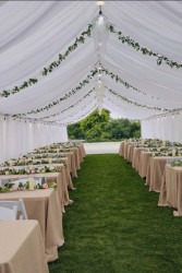 IMG 7630 1770181137 decorated tent package for 80 people